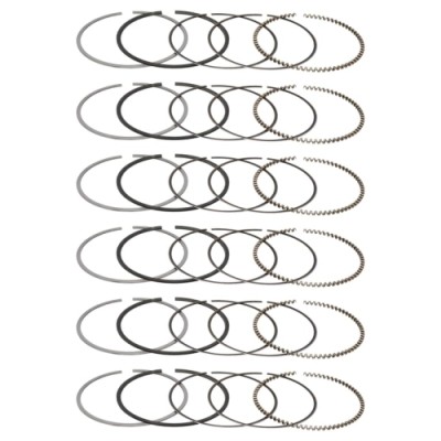 Manley Piston Ring...