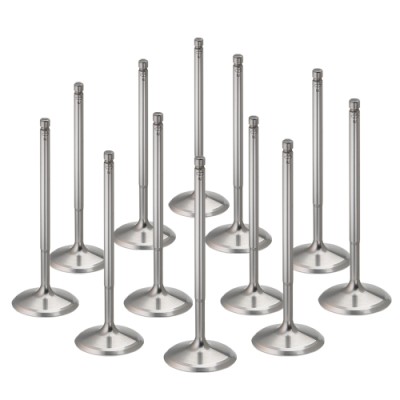 Supertech Valve Kit Intake...