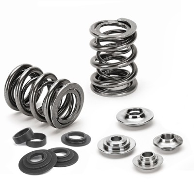 Supertech Valve Spring Kit...
