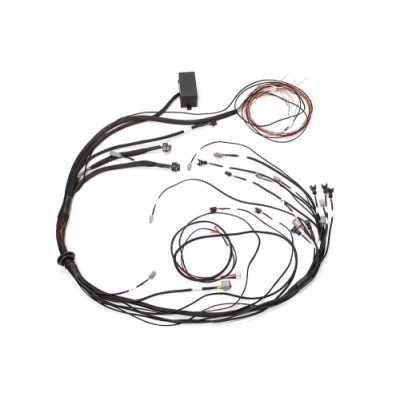 Haltech Elite 1000/1500 Maz...