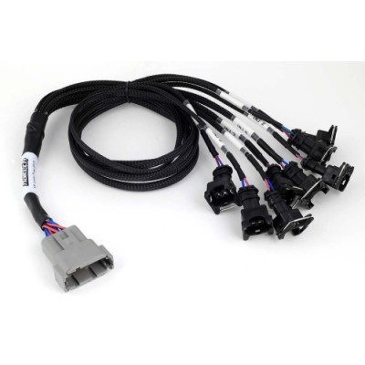 Haltech Nexus V8 Junior...