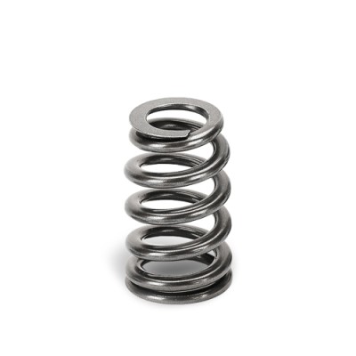 Supertech Valve Spring Set...
