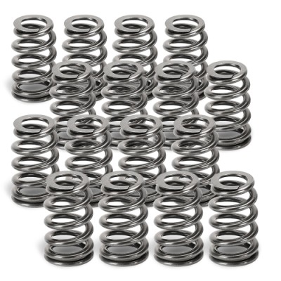 Supertech Valve Spring Set...