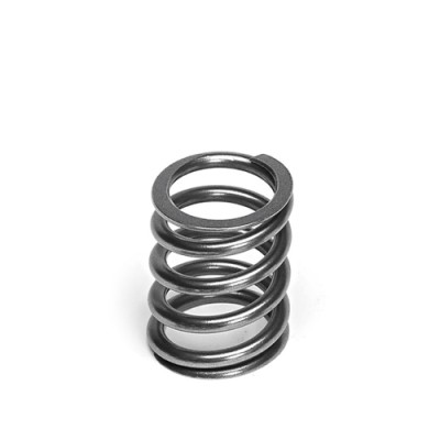 Supertech Valve Spring Set...