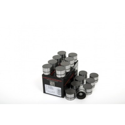 Piper Cam Followers VAG 1.8...
