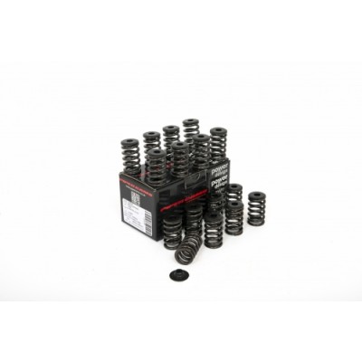 Piper Single Valve Spring...
