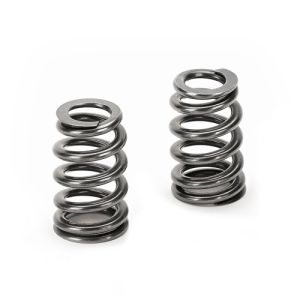 Supertech Valve Spring Set...