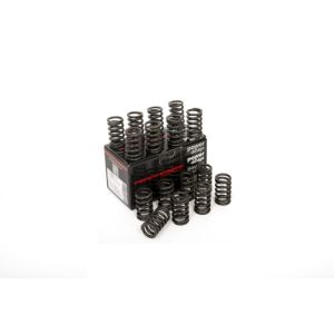 Piper Single Valve Springs...