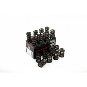 Piper Double Valve Springs...