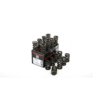 Piper Double Valve Springs...