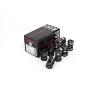 Piper Double Valve Springs...