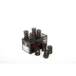 Piper Double Valve Springs...