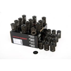 Piper Double Valve Springs...