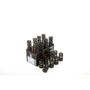Piper Double Valve Springs...