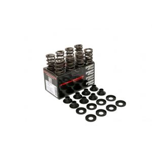 Piper Double Valve Springs...