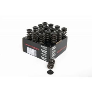 Piper Double Valve Springs...
