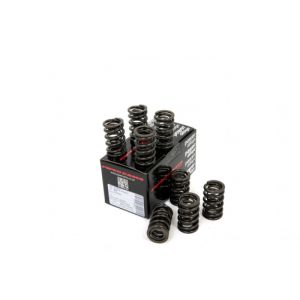 Piper Double Valve Springs...