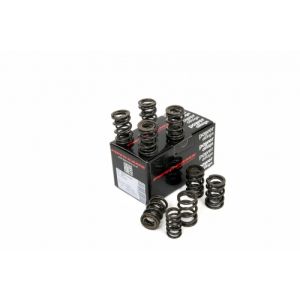 Piper Double Valve Springs...