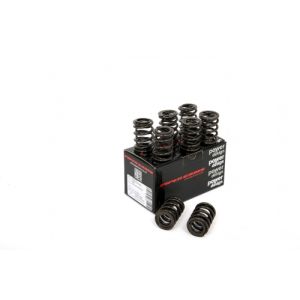 Piper Double Valve Springs...