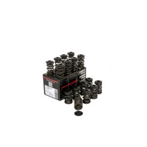 Piper Double Valve Sprngs...