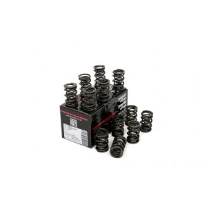 Piper Double Valve Springs...