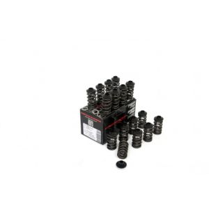 Piper Double Valve Spring...