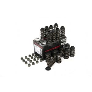 Piper Double Valve Spring...