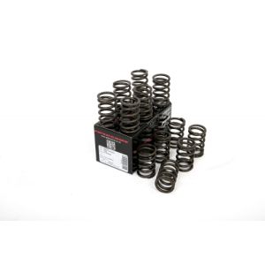 Piper Single Valve Springs...