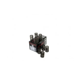Piper Single Valve Springs...