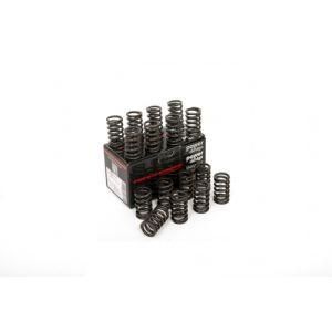 Piper Single Valve Springs...