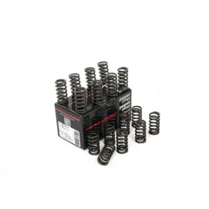 Piper Single Valve Springs...
