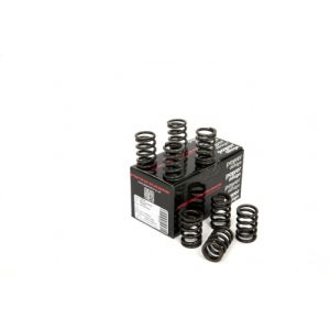 Piper Single Valve Springs...