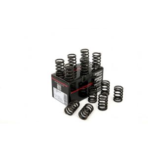 Piper Single Valve Springs...