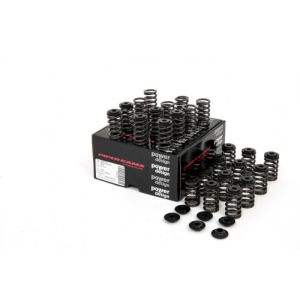 Piper Single Valve Springs...