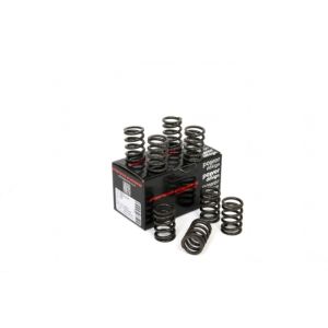 Piper Single Valve Springs...