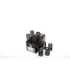 Piper Single Valve Springs...