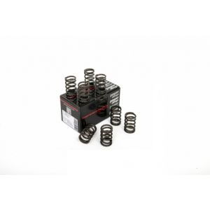 Piper Single Valve Springs...