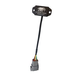 E-throttle (RET)