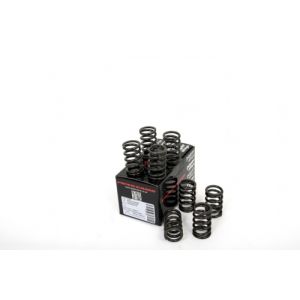 Piper Single Valve Springs...