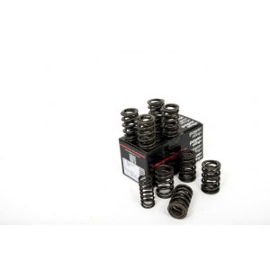 Piper Double Valve Springs...
