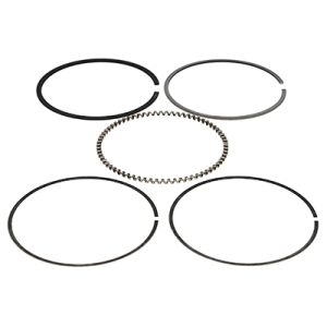 Wiseco Piston Ring Set...