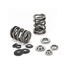 Supertech Valve Spring Kit...