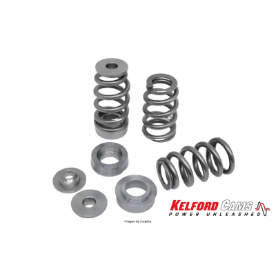Kelford Cams KVS253 Ford...