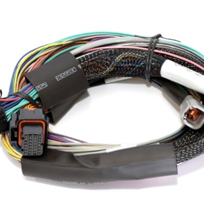 Haltech Elite 1000 - 2.5m...
