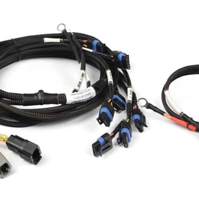 Haltech Nexus V8 IGN-1A...