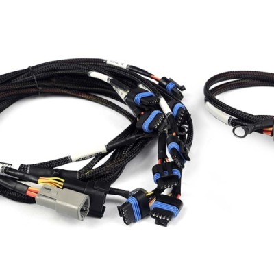 Haltech Nexus V8 IGN-1A...