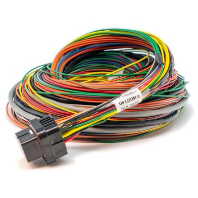 Arnés Link G4X tipo A