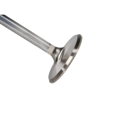 Manley SBC Intake Valve...