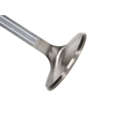 Manley SBC Intake Valve...