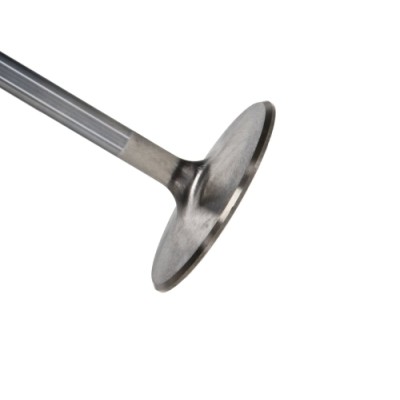 Manley BBC Intake Valve...